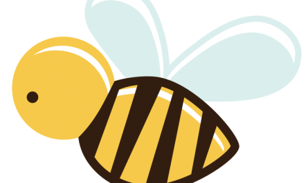 BeeCut 1.8.2.32 Crack With Activation Key [Latest] 2021 Free
