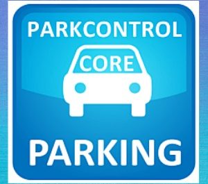 Bitsum ParkControl Pro 2.4.0.2 Crack + Activation Code Download