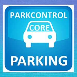 Bitsum ParkControl Pro 1.6.0.10 Crack + Activation Code Free Download